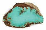 Polished Turquoise Slab - Number Mine, Carlin, NV #245511-1